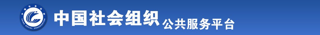 插B三级视频全国社会组织信息查询